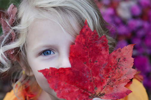 Young girl holding a large red leaf in front of her face