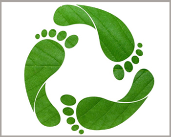 Ecological footprint illustration